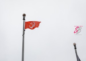 Hindu Heritage Month Ottawa (53)