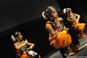Festival of Kerala 2017-05-27 (261)