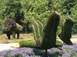 Mosaic Park Gatineau 2017 (28)