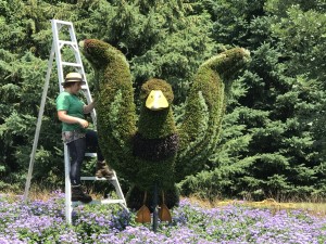 Mosaic Park Gatineau 2017 (29)