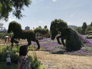 Mosaic Park Gatineau 2017 (7)